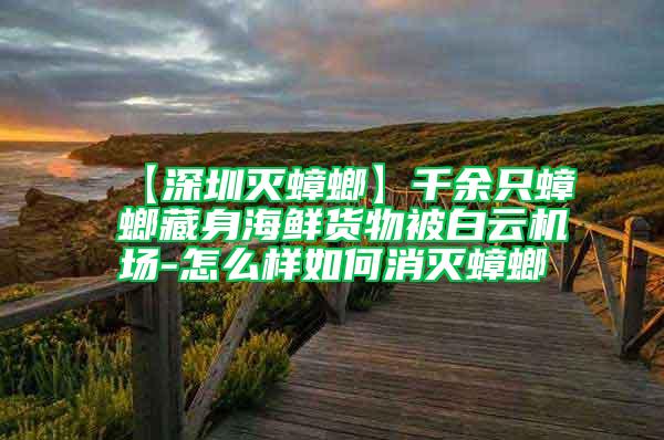 【深圳灭蟑螂】千余只蟑螂藏身海鲜货物被白云机场-怎么样如何消灭蟑螂
