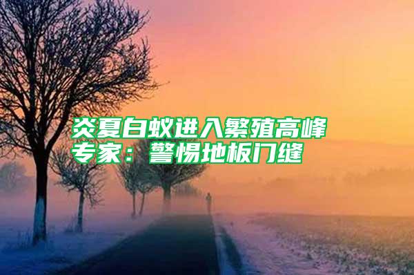 炎夏白蚁进入繁殖高峰 专家：警惕地板门缝