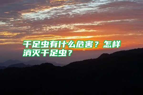 千足虫有什么危害？怎样消灭千足虫？