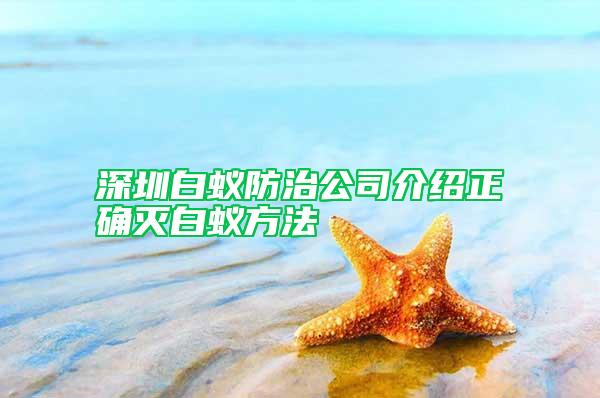 深圳白蚁防治公司介绍正确灭白蚁方法