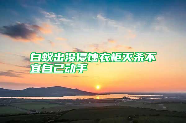 白蚁出没侵蚀衣柜灭杀不宜自己动手