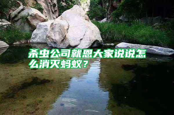 杀虫公司就恩大家说说怎么消灭蚂蚁？