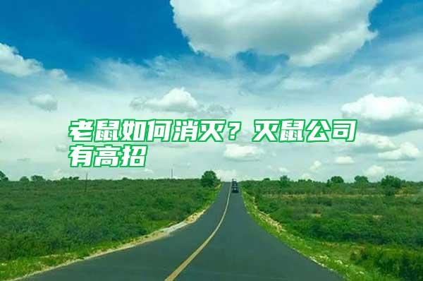 老鼠如何消灭？灭鼠公司有高招