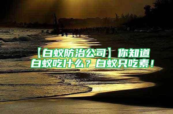 【白蚁防治公司】你知道白蚁吃什么？白蚁只吃素！