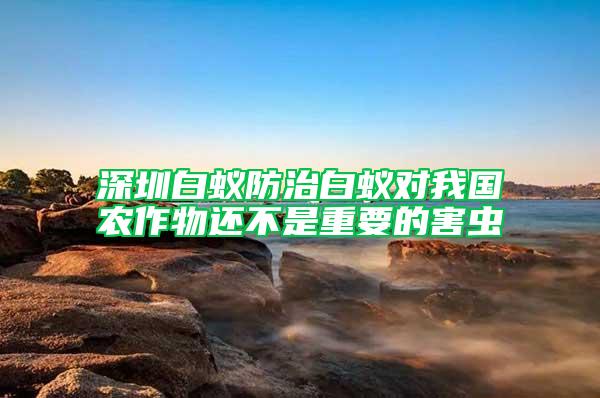 深圳白蚁防治白蚁对我国农作物还不是重要的害虫