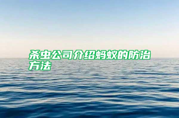 杀虫公司介绍蚂蚁的防治方法