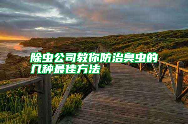 除虫公司教你防治臭虫的几种最佳方法