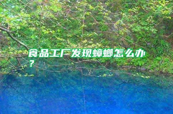 食品工厂发现蟑螂怎么办？