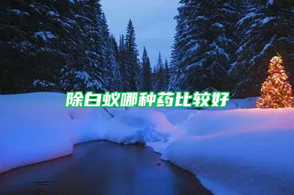除白蚁哪种药比较好