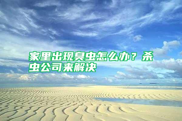 家里出现臭虫怎么办？杀虫公司来解决