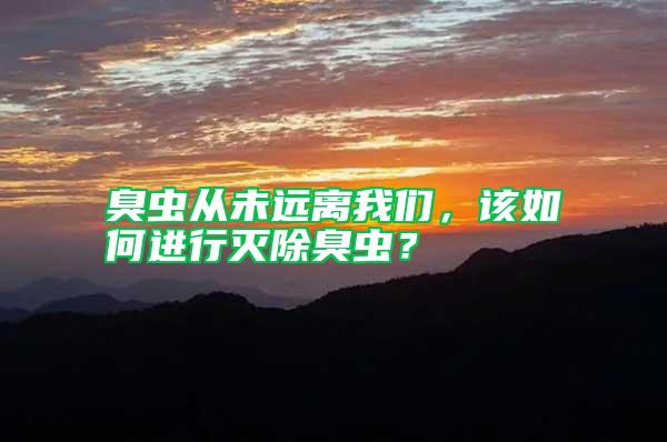 臭虫从未远离我们，该如何进行灭除臭虫？