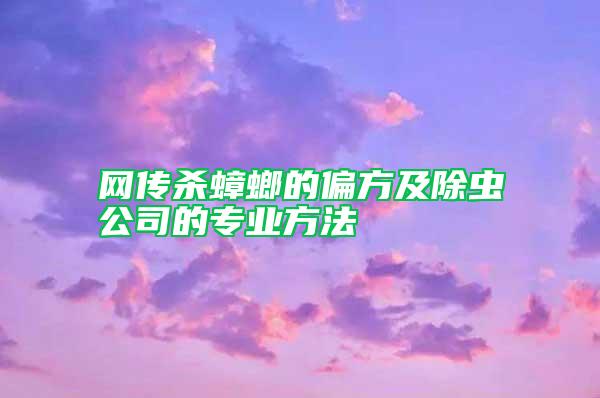 网传杀蟑螂的偏方及除虫公司的专业方法
