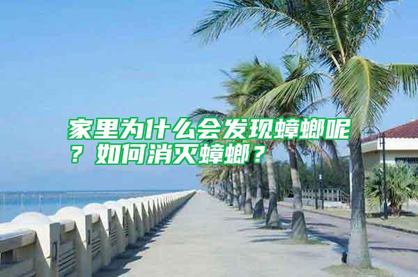 家里为什么会发现蟑螂呢？如何消灭蟑螂？
