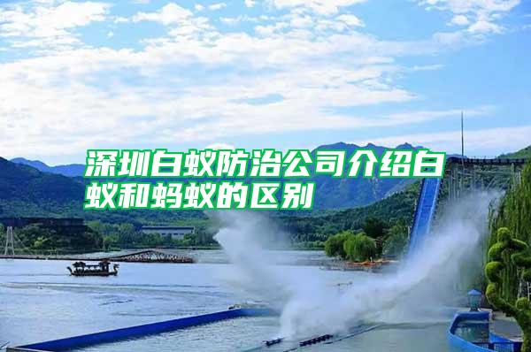 深圳白蚁防治公司介绍白蚁和蚂蚁的区别