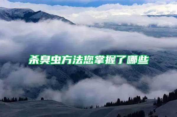 杀臭虫方法您掌握了哪些