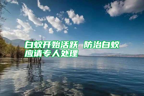 白蚁开始活跃 防治白蚁应请专人处理
