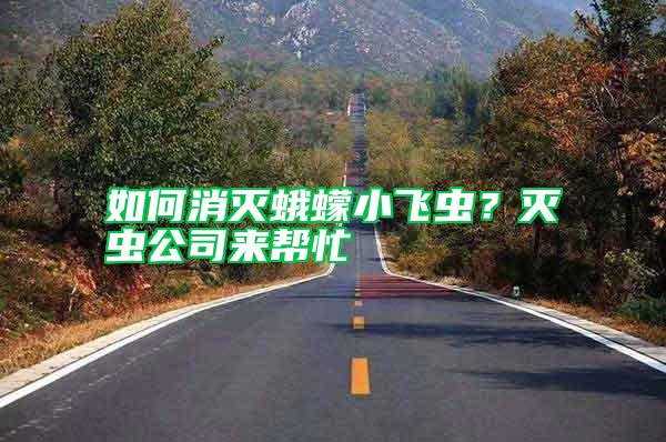 如何消灭蛾蠓小飞虫?灭虫公司来帮忙