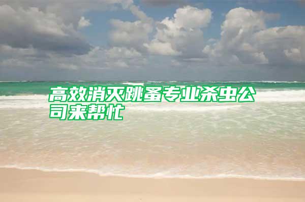 高效消灭跳蚤专业杀虫公司来帮忙