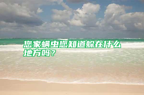 您家螨虫您知道躲在什么地方吗？