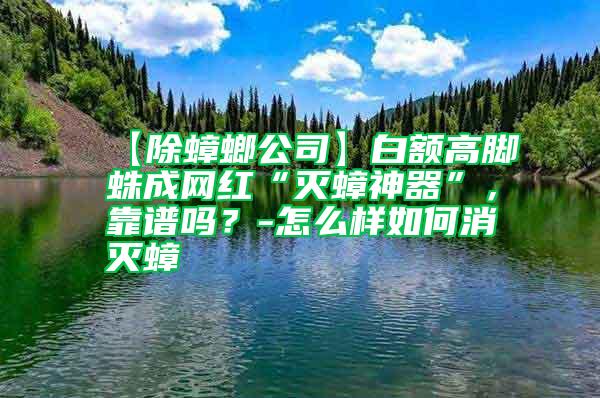 【除蟑螂公司】白额高脚蛛成网红“灭蟑神器”，靠谱吗？-怎么样如何消灭蟑
