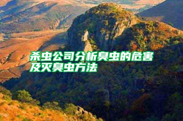 杀虫公司分析臭虫的危害及灭臭虫方法