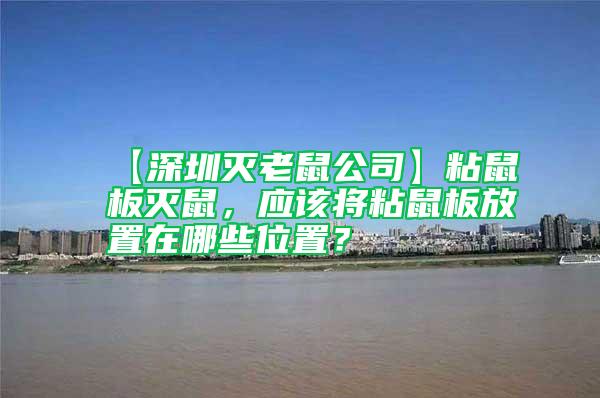 【深圳灭老鼠公司】粘鼠板灭鼠，应该将粘鼠板放置在哪些位置？