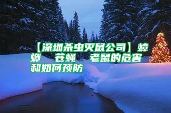 【深圳杀虫灭鼠公司】蟑螂  苍蝇  老鼠的危害和如何预防