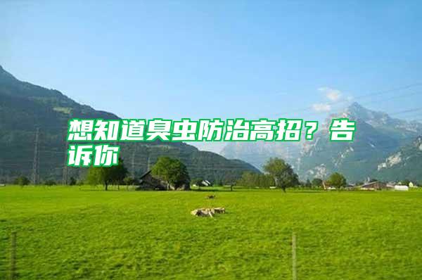 想知道臭虫防治高招?告诉你