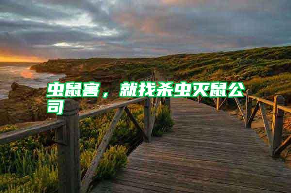 虫鼠害，就找杀虫灭鼠公司