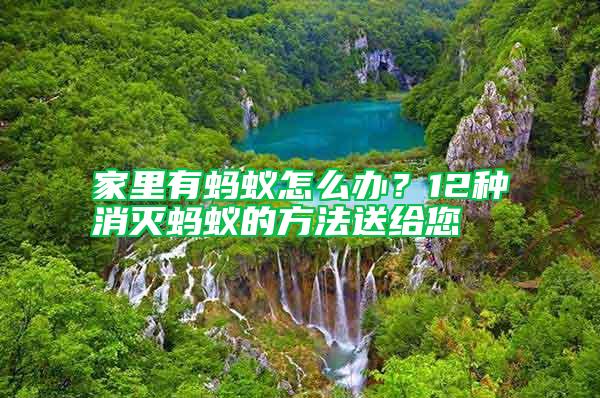 家里有蚂蚁怎么办？12种消灭蚂蚁的方法送给您