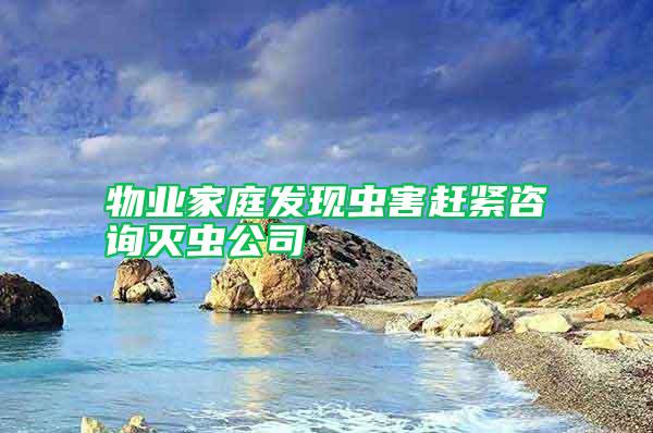 物业家庭发现虫害赶紧咨询灭虫公司