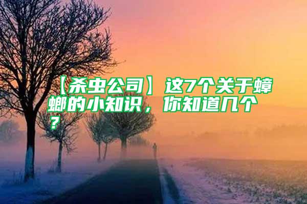 【杀虫公司】这7个关于蟑螂的小知识，你知道几个？