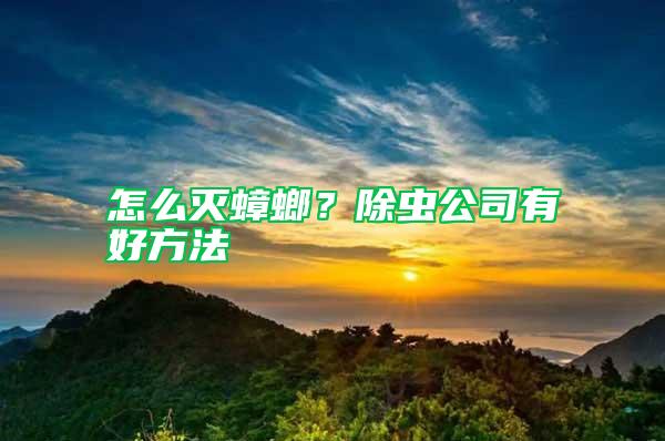 怎么灭蟑螂？除虫公司有好方法