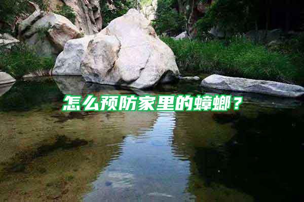 怎么预防家里的蟑螂？