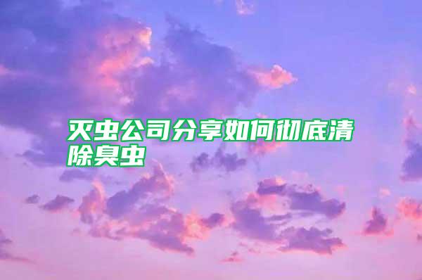 灭虫公司分享如何彻底清除臭虫