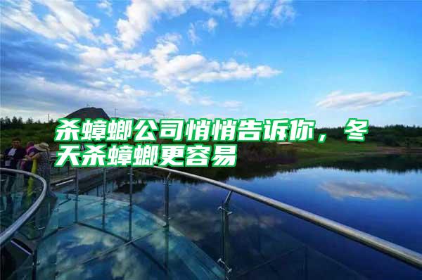 杀蟑螂公司悄悄告诉你，冬天杀蟑螂更容易