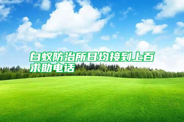 白蚁防治所日均接到上百求助电话