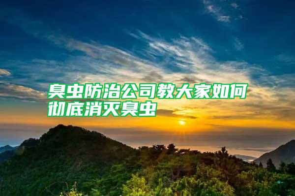 臭虫防治公司教大家如何彻底消灭臭虫