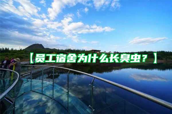【员工宿舍为什么长臭虫？】