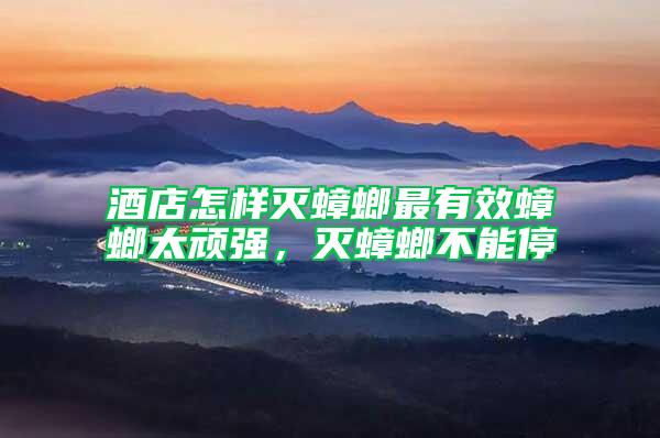 酒店怎样灭蟑螂最有效蟑螂太顽强，灭蟑螂不能停
