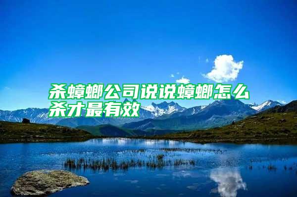 杀蟑螂公司说说蟑螂怎么杀才最有效