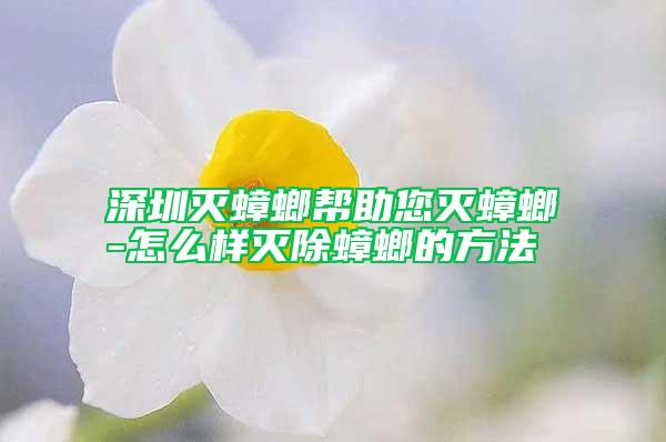 深圳灭蟑螂帮助您灭蟑螂-怎么样灭除蟑螂的方法