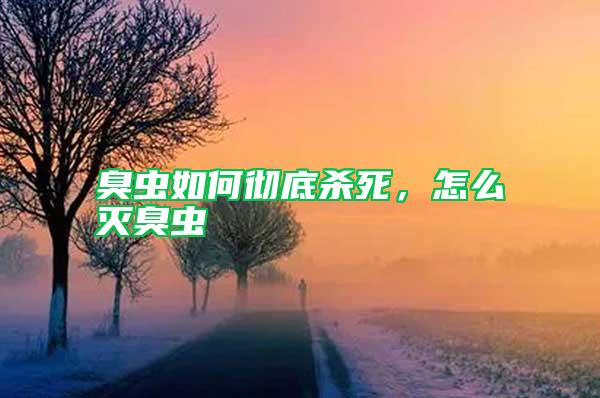 臭虫如何彻底杀死，怎么灭臭虫