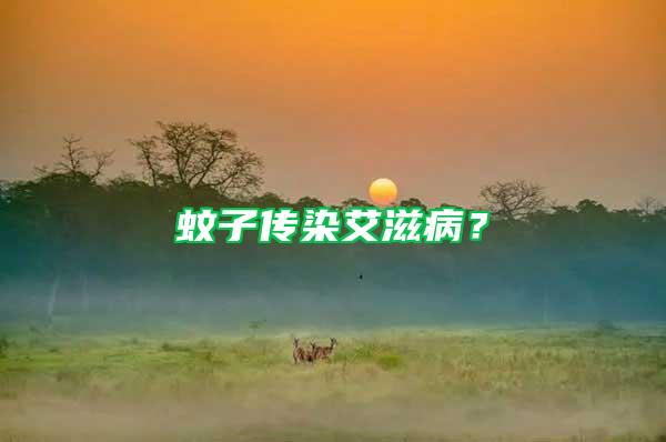 蚊子传染艾滋??？