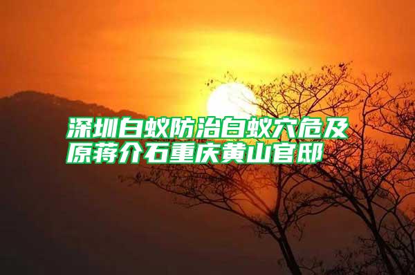 深圳白蚁防治白蚁穴危及原蒋介石重庆黄山官邸
