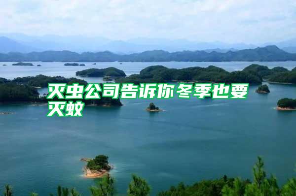 灭虫公司告诉你冬季也要灭蚊