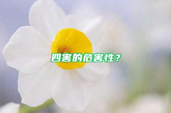 四害的危害性?