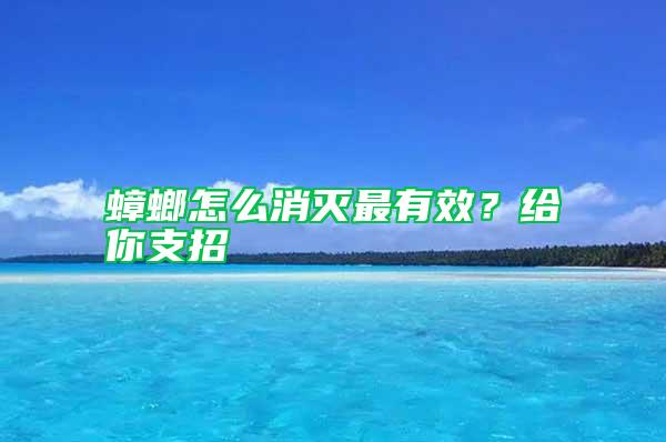 蟑螂怎么消灭最有效？给你支招