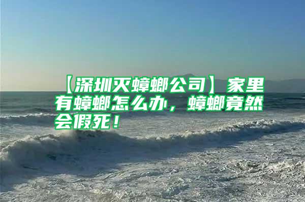 【深圳灭蟑螂公司】家里有蟑螂怎么办，蟑螂竟然会假死！