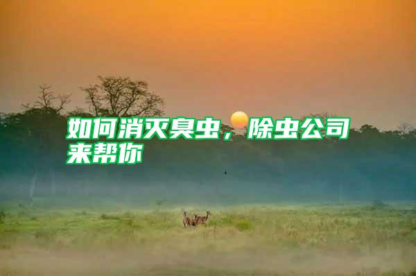 如何消灭臭虫，除虫公司来帮你